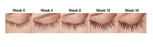 SPECTACULASH LASH SERUM for Eyelash Growth - Eyelash Serum to Grow Lashes - Suero para Pestañas Crecimiento - Lash Conditioner for Growth & Volume Lashes - Sérum para Pestañas by DERMAWORKS