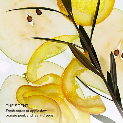 SEEN Shampoo - Scented - Non-Comedogenic & Hair Shampoo- Dermatologist-Developed - Safe for Sensitive & Acne Prone Skin